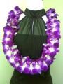  Hawaiian Lei Greetings